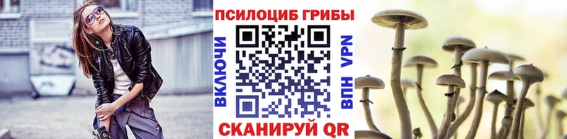 наркотики  blacksprut ONION  Галлюциногенные грибы MAGIC MUSHROOMS  Жигулёвск 