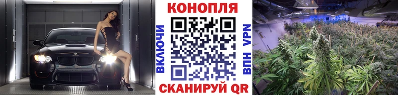 где можно купить   Жигулёвск  МАРИХУАНА MAZAR 